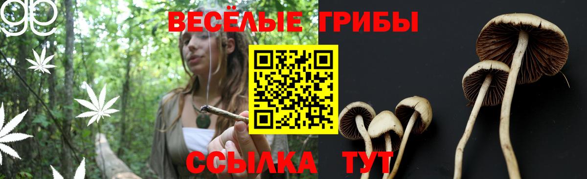 Галлюциногенные грибы MAGIC MUSHROOMS  Галлюциногенные грибы Psilocybe  Вход с VPN  Кунгур 